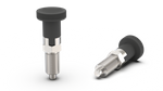 Feststellstift D-31mm d2-M20x1,5mm SW-22 d1-10mm mit Verriegelung, INOX