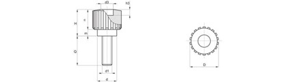 Pokrętło radełkowane z trzpieniem gwintowanym D-17,5mm M5 x 10mm