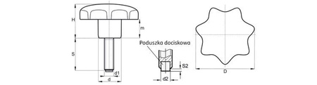 Pokrętło gwiazdowe z trzpieniem gwintowanym zakończone tworzywem, D-50mm, H-32mm, M10 x 20mm, zbliżone do DIN6336