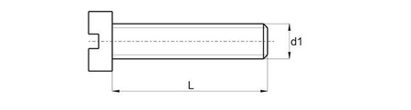 Cheese head slotted screw M10 x 8mm, DIN EN ISO 1207 (DIN84)