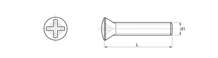 Śruba z łbem stożkowym soczewkowym z nacięciem krzyżowym M5 x 45mm, DIN 966