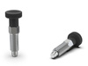 Feststellstift D-21mm d2-M12x1,5mm SW-12 d1-8mm, INOX